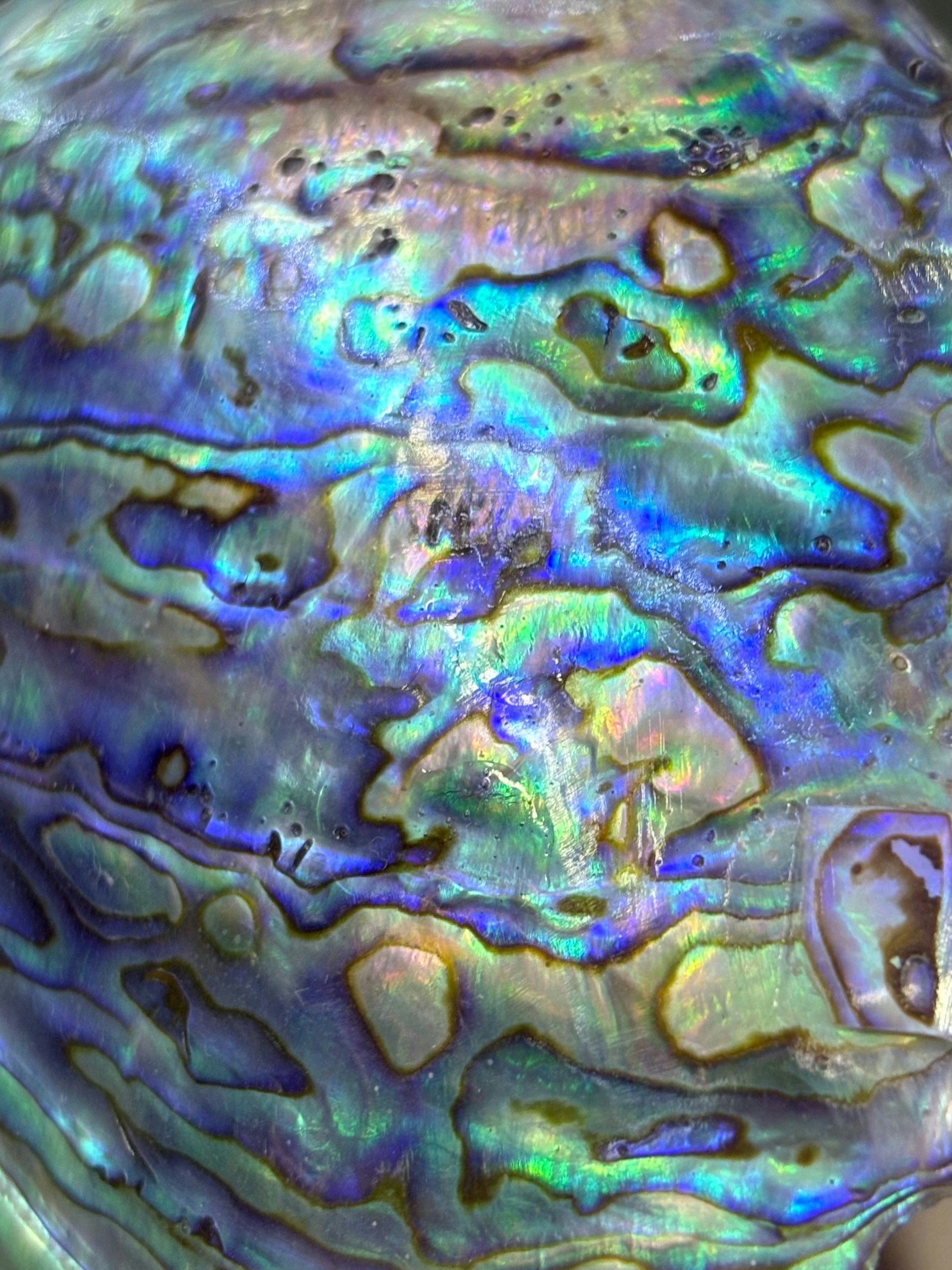 Did You Know... About Fluorescence vs Phosphorescence vs Iridescence?