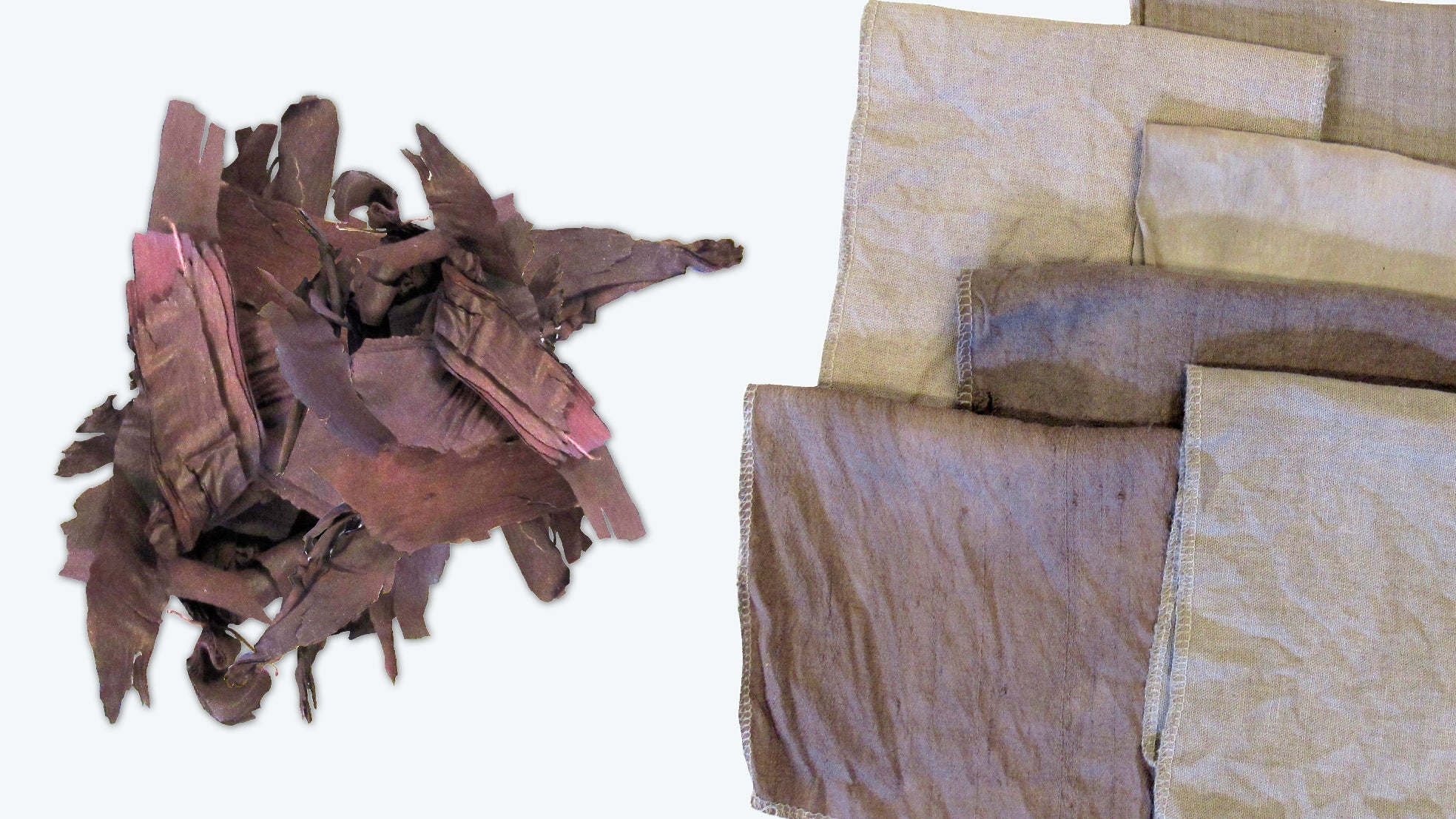 How To Use Alkanet Natural Dyes