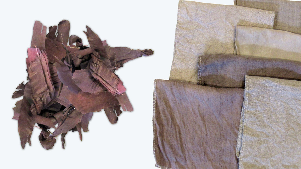 How To Use Alkanet Natural Dyes