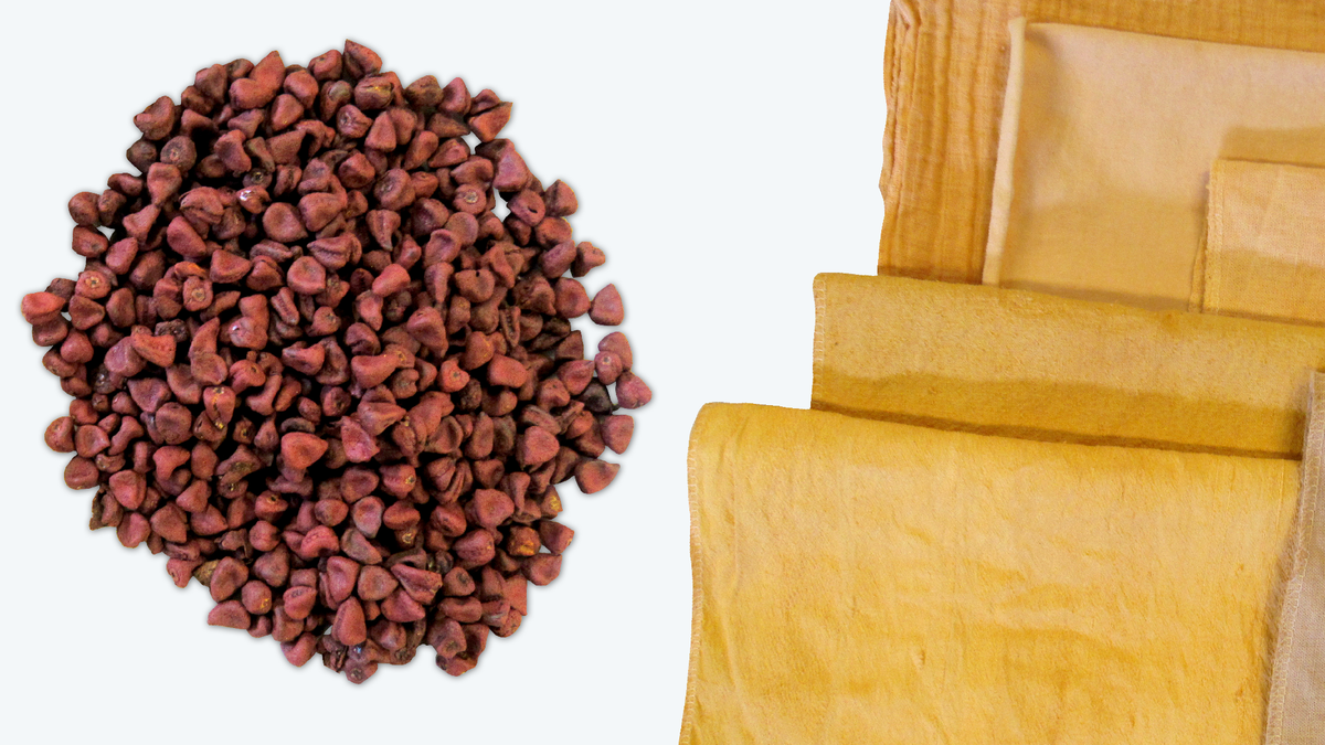 How To Use Annatto Natural Dyes