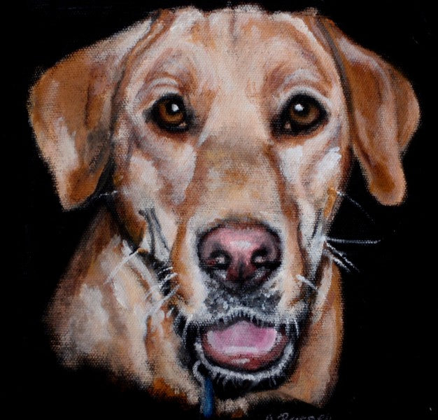 Carol Russell – Dharma Trading Co.