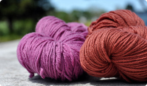 Natural Dyes 101 with Cochineal and Madder Root