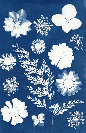Cyanotype Zendoodling Project