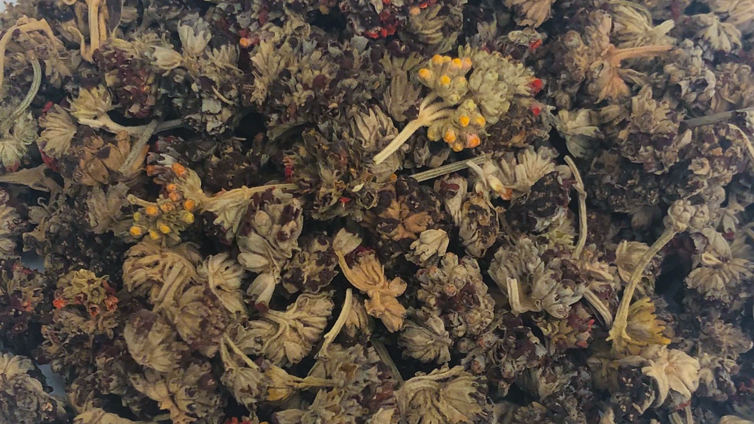 Whole Dried Q'olle Flower Instructions