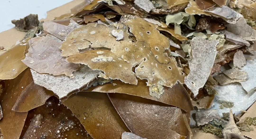 Recycled Beeswax Candle