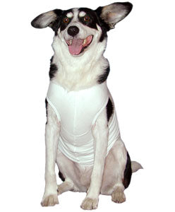 Doggie Baby Rib Tank