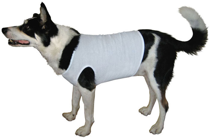 Doggie Baby Rib Tank