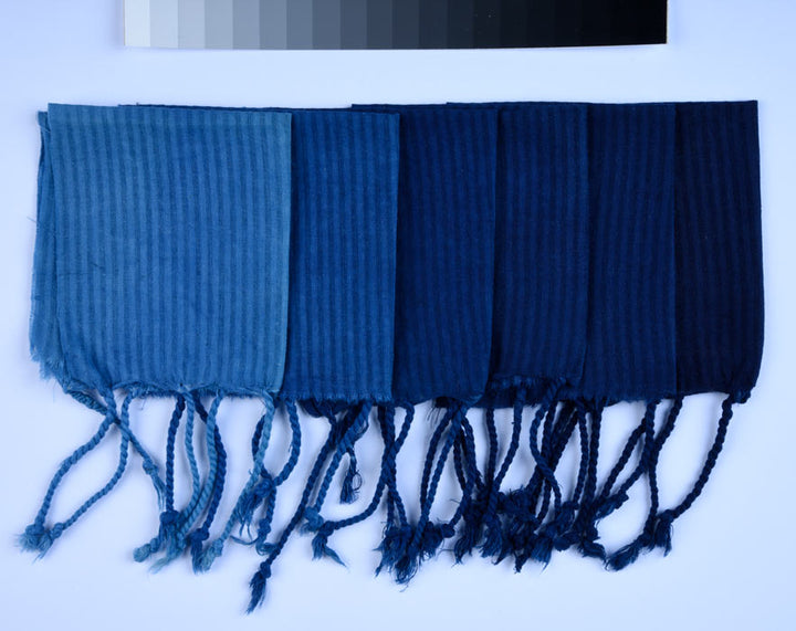 The Art and Science of Natural Dyes