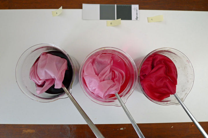 The Art and Science of Natural Dyes