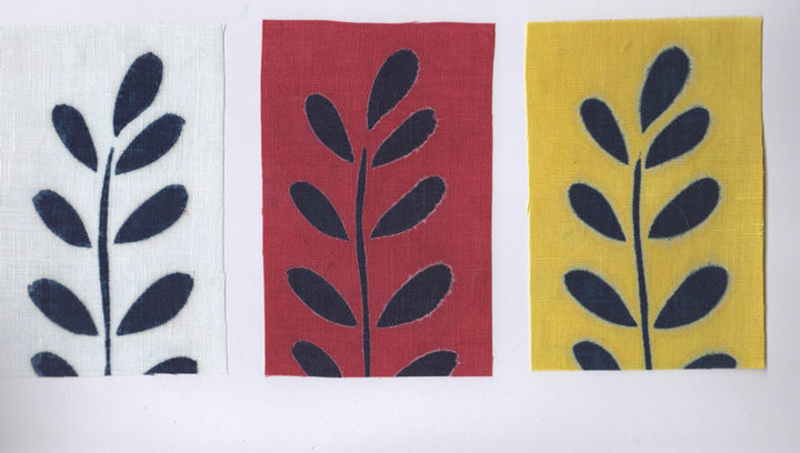 The Art and Science of Natural Dyes