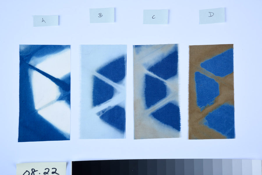 The Art and Science of Natural Dyes