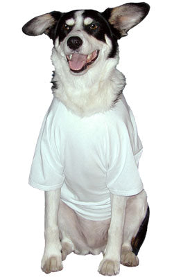 Doggy T-shirts