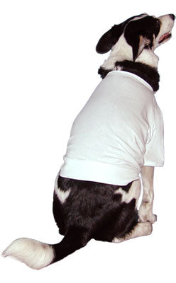Doggy T-shirts