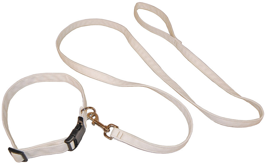 Hemp Basics Collars and Leash