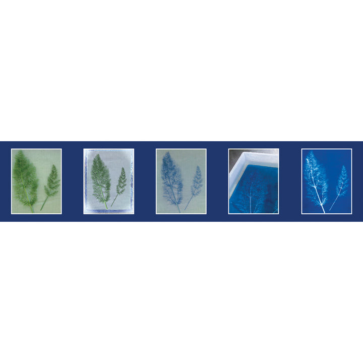 Jacquard Cyanotype Starter Set