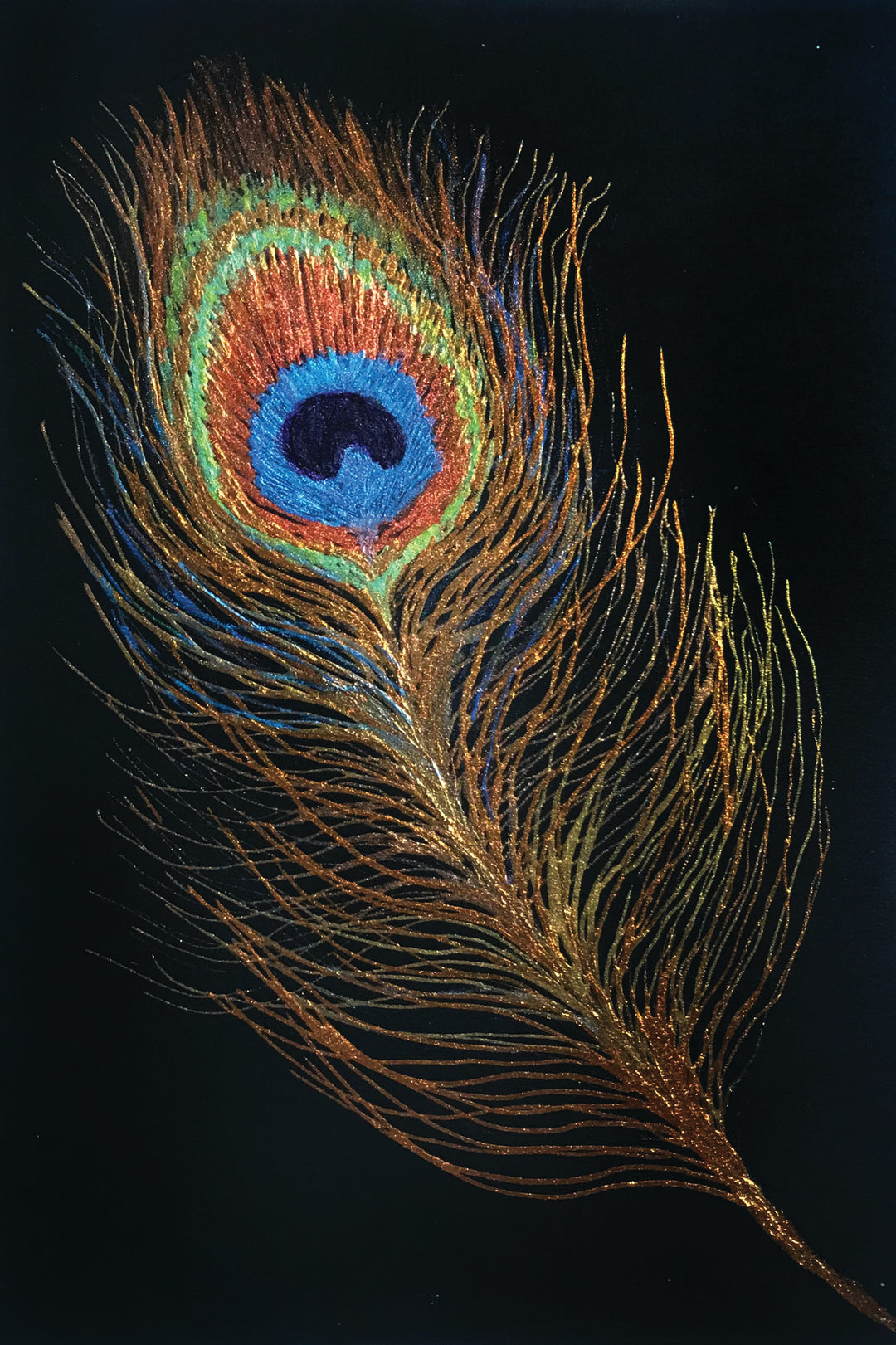 Peacock feather on paper by Myriam Zamor