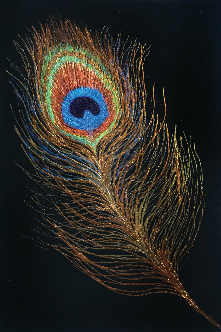 Peacock feather on paper by Myriam Zamor