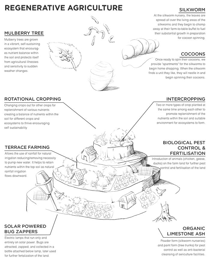Regenerative Agriculture Smooth Noil 34mm