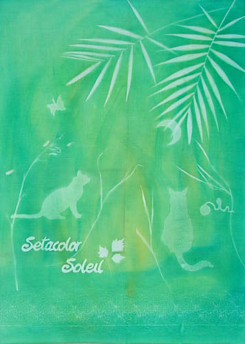 Example of Sunpainting with Setacolor