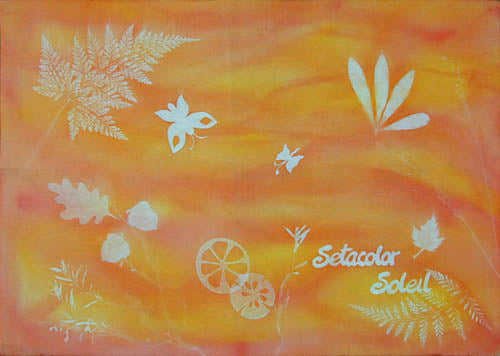 Example of Sunpainting with Setacolor