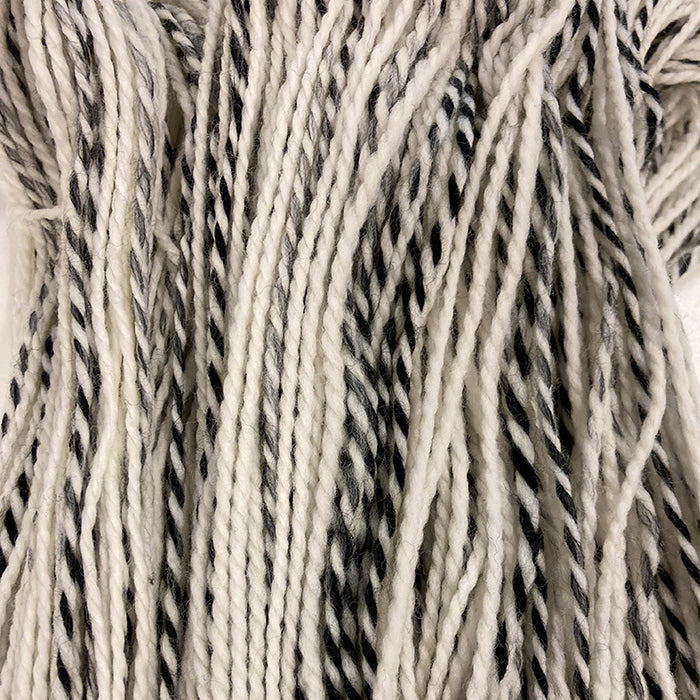 Yarn #99 - Superwash Merino Zebra DK