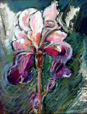 Artwork by Featured Artist Marjorie McWilliams