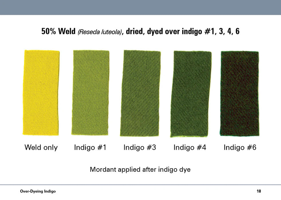 The Studio Formulas Set for The Art and Science of Natural Dyes
