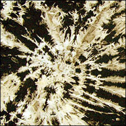 Black Rayon Fabric (#VCI) discharged with 100% bleach