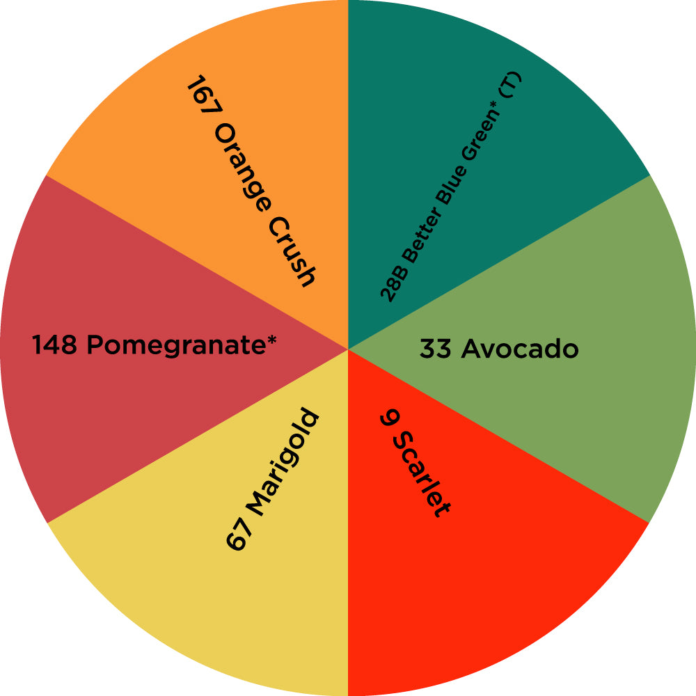 Dharma Trading Fiber Reactive Procion Dye Fall Forest Floor themed color wheel with colors labeled #28B Better Blue Green*(T), #33 Avocado, #9 Scarlet, #67 Marigold, #148 Pomegranate*, and #167 Orange Crush.