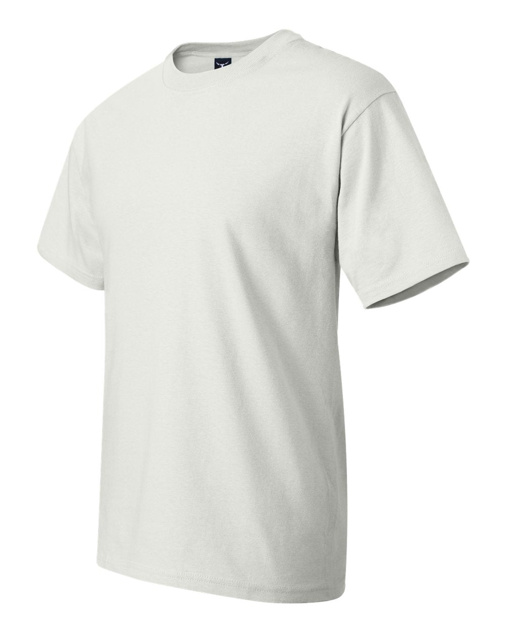 Hanes 6.1 oz. Beefy-T – Dharma Trading Co.