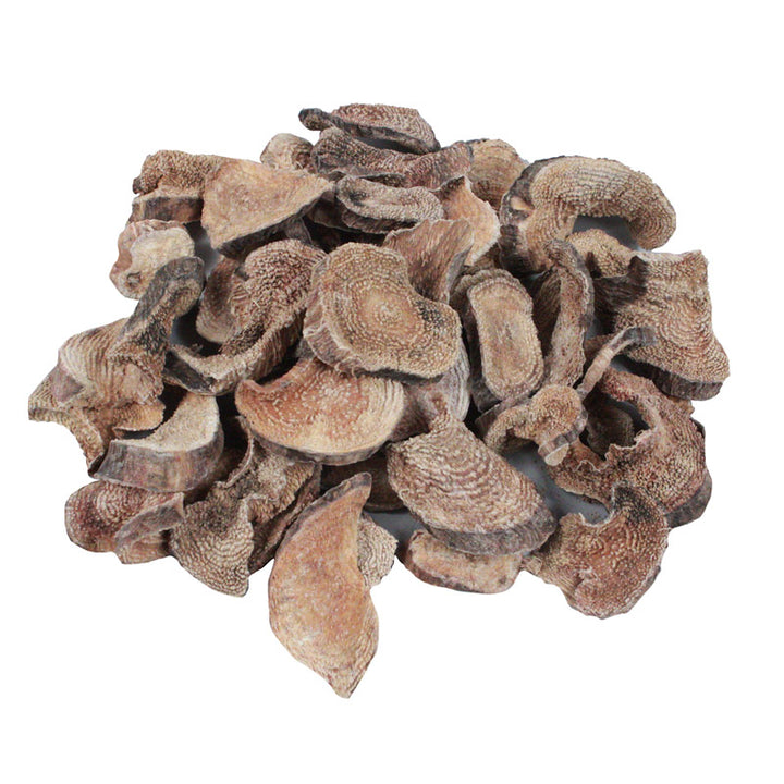 Saqta Root
