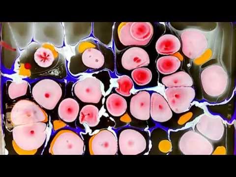Marbling Class Kit