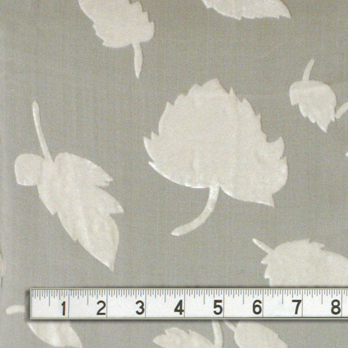Leaf 2