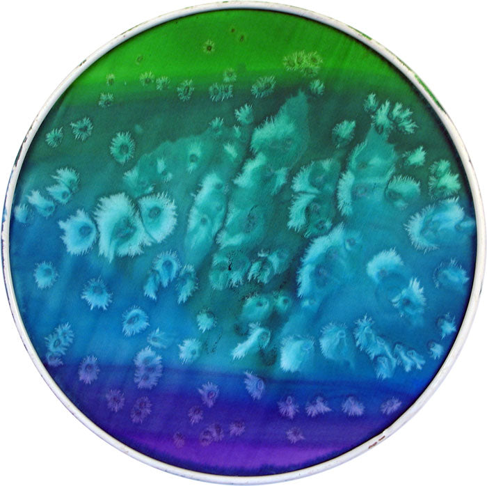 8mm Habotai Silk Hoops