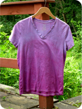 Ombre Tank